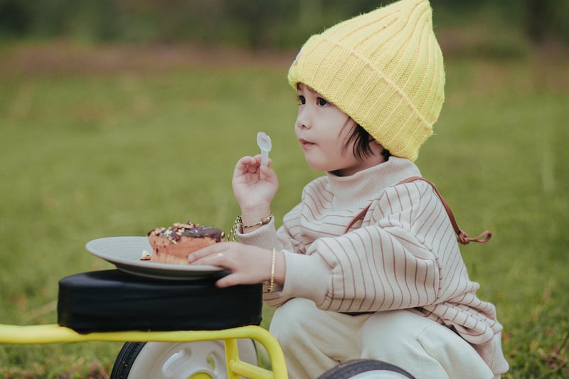 Picnic Lunches